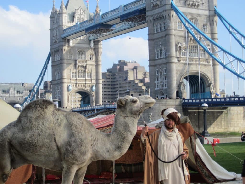 Camel at Tower Bridge in London