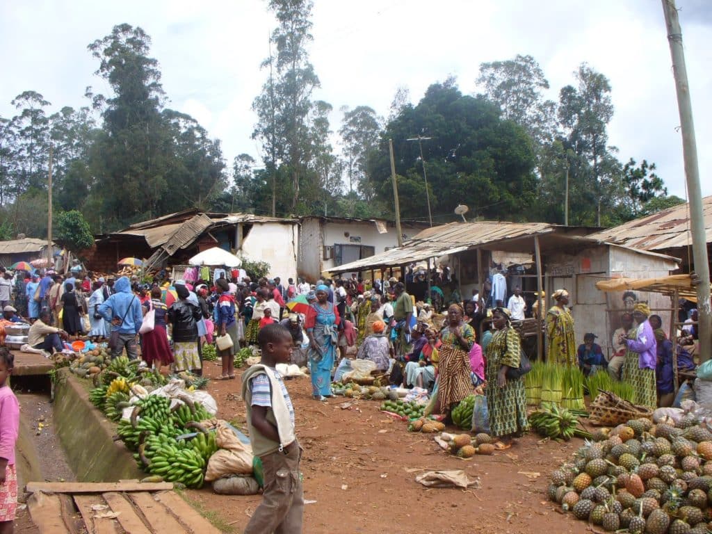 peace corps cameroon