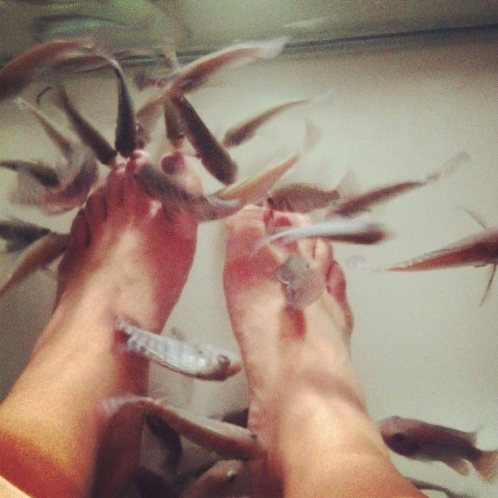 Fish Spa in Tagaytay, Philippines