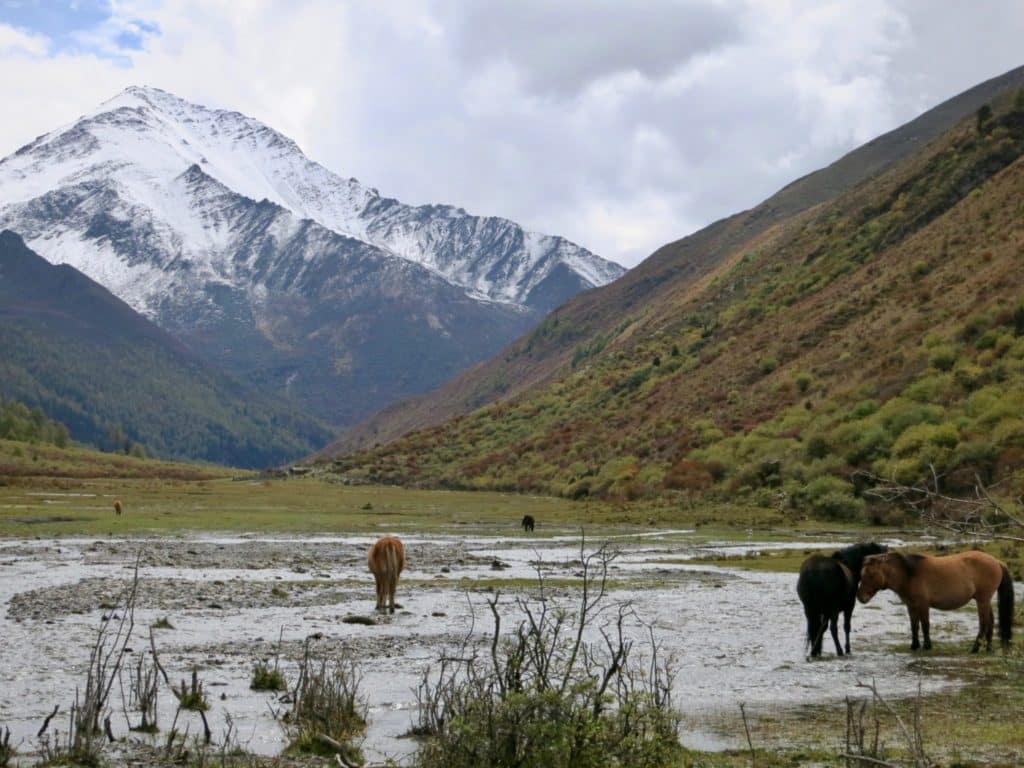 Hiking in Sichuan with Yejo Circle