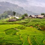 One Week of Hiking and Relaxation in Sapa, Vietnam